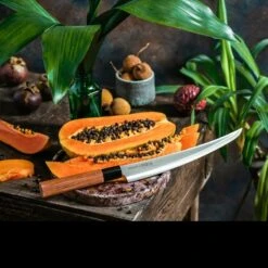 Samura Okinawa Slicing Tanto -Knives Shop tc so 0146tdet6 69051.1587419957